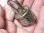 画像11: ドイツ アンティーク ダイヤル式 南京錠 1900年代初製　26×47mm【希少】【小さめサイズ】【バーゲン】