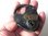画像16: アンティーク南京錠,antique padlock【参考画像有り】《１８００年代末》アメリカ アンティーク Sargent＆Co.（サージェント＆カンパニー）製 南京錠56×73mm【バーゲン】